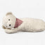 EFIE Zirbenkissen Teddy mit Halstuch aus Bio-Baumwolle auf hellem Hintergrund