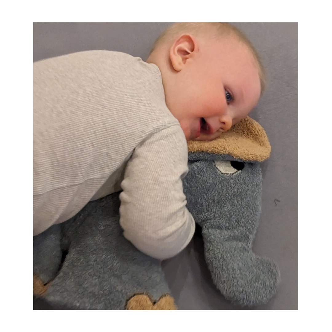 EFIE Kuschelkissen Elefant XL