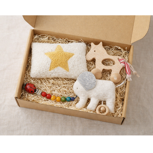 🎁 Baby Geschenkset L