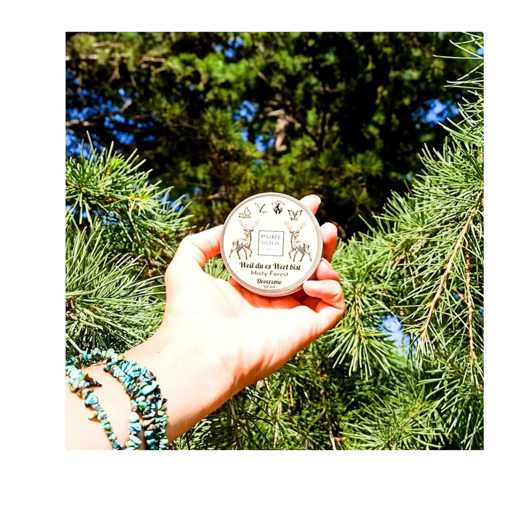 🎁 Pure Soul Deo Discovery Geschenkset (6-teilig)